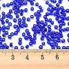 Transparent Colours Glass Seed Beads X-SEED-S042-11A-06-4