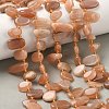 Natural Sunstone Beads Strands G-P604-A04-01-1