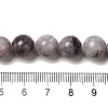 Natural Gemstone Beads Strands G-H067-A01-10MM-5