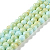 Baking Paint Glass Bead Strands GLAA-H031-01C-08-1