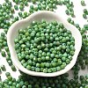 Picasso Baking Paint Glass Seed Beads SEED-A032-02A-05-2