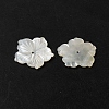 Natural White Shell Beads SHEL-M021-08C-3