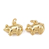 Brass Cubic Zirconia Pendants KK-L251-53G-1