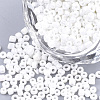 Opaque 8/0 Glass Seed Beads SEED-S023-01B-01-1