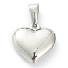 304 Stainless Steel Pendants STAS-P278-01C-P-2