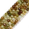 Natural Green Garnet Beads Strands G-C009-A25-1