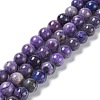 Natural Gemstone Beads Strands G-H269-05A-1