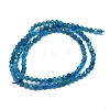 Natural Apatite Beads Strands G-G106-C06-02-2