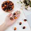 Foam Chinese Olive Display Decoration DJEW-GF0001-90B-3