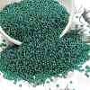 12/0 FGB Grade A Round Glass Seed Beads SEED-Q011-F520-1