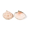 Natural Sea Shell Pendants SSHEL-N038-16-1