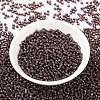 MIYUKI Round Rocailles Beads SEED-JP0009-RR0013-2