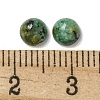 Natural African Turquoise(Jasper) Cabochons G-Q173-01B-05-3