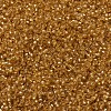 MIYUKI Round Rocailles Beads SEED-X0054-RR0004-3