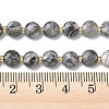 Natural Map Stone Beads Strands G-K389-B84-01-5
