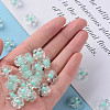 Transparent Acrylic Beads TACR-S152-06A-SS2111-5