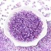 Baking Paint Electroplate Transparent Glass Seed Beads SEED-N006-07J-2