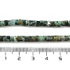 Natural African Turquoise(Jasper) Beads Strands G-A220-B03-01-5