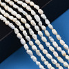 Natural Cultured Freshwater Pearl Beads Strands LS-PEAR-N012-03C-6