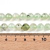 Natural Prehnite Beads Strands G-S345-8mm-28-5