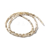 Natural Freshwater Shell Beads Strands X-SSHEL-B002-17-2
