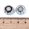 Handmade Lampwork & Brass Core European Beads LAMP-N044-01S-02-4