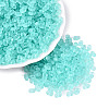 FGB Frosted Transparent Glass Seed Beads SEED-N013-06A-10-1