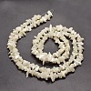 Natural White Mother of Pearl Shell Chip Bead Strands X-G-M205-63-2