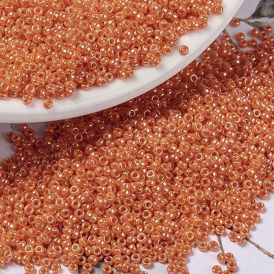 MIYUKI Round Rocailles Beads X-SEED-G009-RR0423-1