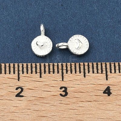 925 Sterling Silver Charms STER-A050-02A-S-1