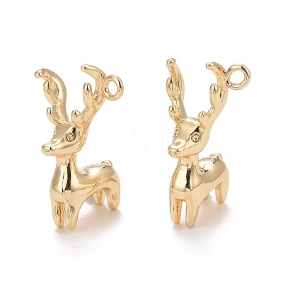 Rack Plating Brass Pendants KK-E267-01LG-1