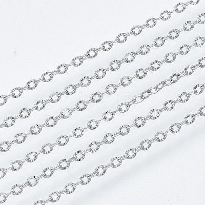 Tarnish Resistant 304 Stainless Steel Chains CHS-S001-12B-P-1