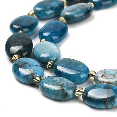 Natural Apatite Beads Strands G-H005-A03-02-1
