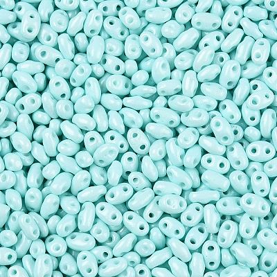 Baking Paint Glass Seed Beads SEED-T006-03G-1