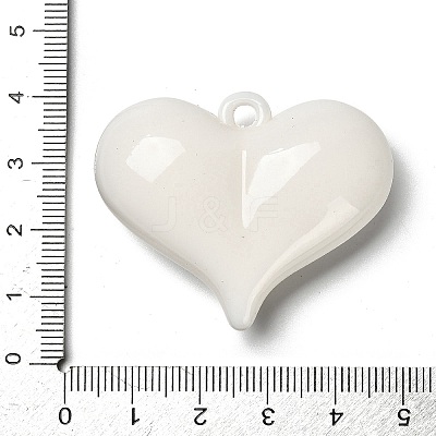 Acrylic Pendants OACR-S049-02C-1