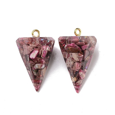 Transparent Resin Natural Imperial Jasper Chips Pendants G-E185-06G-1