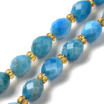 Natural Apatite Beads Strands G-H297-C03-01-1