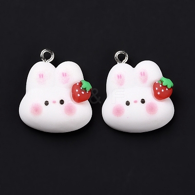 Resin Pendants X-RESI-M026-09-1