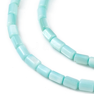 Natural Freshwater Shell Dyed Beads Strands SHEL-M018-12-06-1