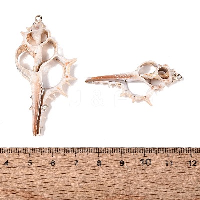 Electroplate Natural Shell Big Pendants SSHEL-N042-20-1