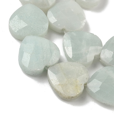 Natural Flower Amazonite Beads Strands G-A309-A10-01-1