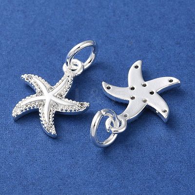 Rack Plating Brass Micro Pave Clear Cubic Zirconia Charms KK-D097-04S-1