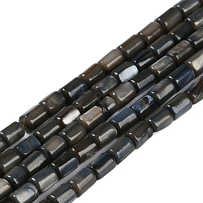 Natural Freshwater Shell Beads Strands BSHE-H109-17E-1