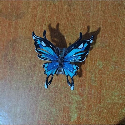 Resin Claw Hair Clips LS-PW-WG0F8BB-02-1