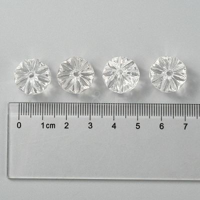 Transparent Acrylic Beads PL739-1