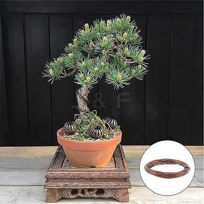 DIY Bonsai Kit DIY-GA0001-10-1