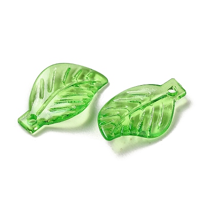 Transparent Acrylic Pendant OACR-E039-69B-1