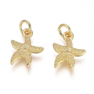 Electroplated Alloy Charms X-PALLOY-G267-06G-1
