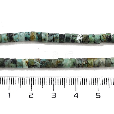 Natural African Turquoise(Jasper) Beads Strands G-A220-B03-01-1