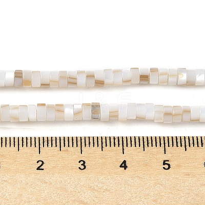 Natural Freshwater Shell Beads Strands SSHEL-C013-04A-1